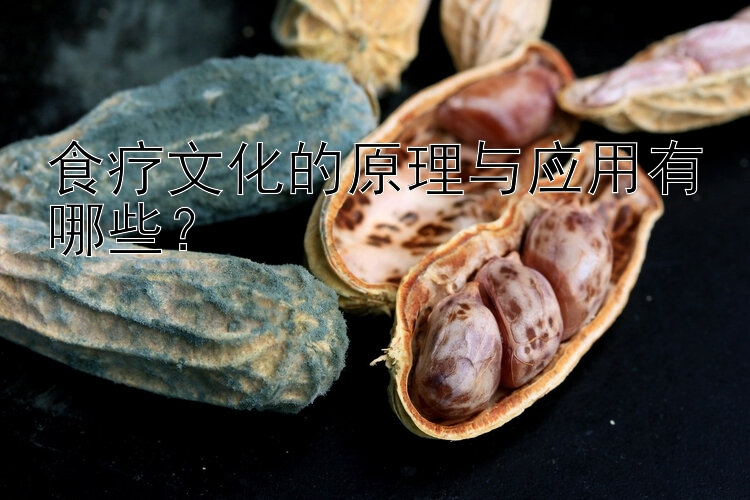 食療文化的原理與應(yīng)用有哪些？