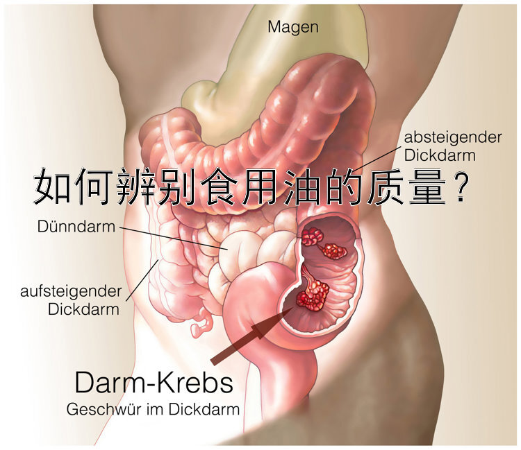 如何辨別食用油的質(zhì)量？