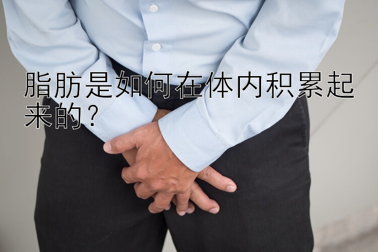 脂肪是如何在體內(nèi)積累起來(lái)的？