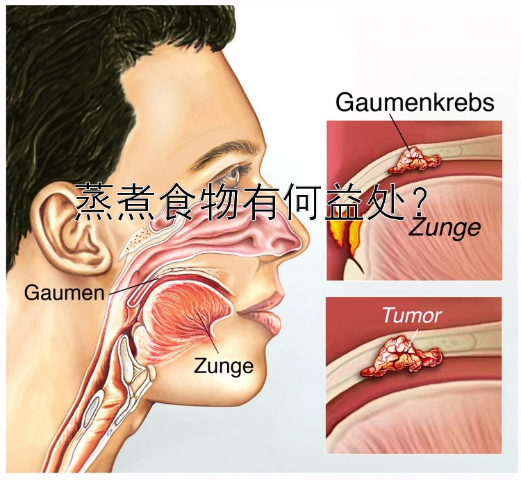 蒸煮食物有何益處？