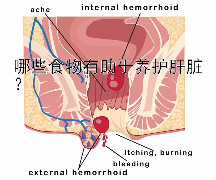 哪些食物有助于養(yǎng)護(hù)肝臟？