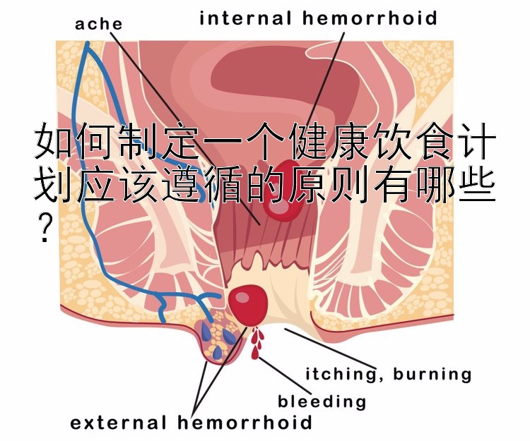 如何制定一個健康飲食計劃應該遵循的原則有哪些？