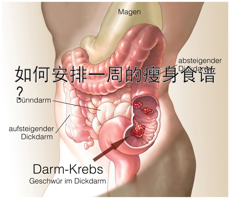 如何安排一周的瘦身食譜？