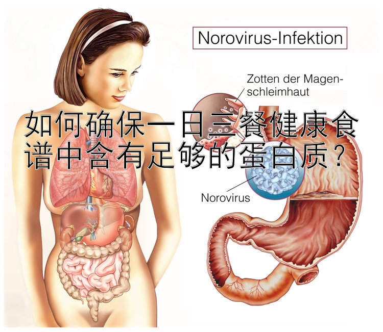 如何確保一日三餐健康食譜中含有足夠的蛋白質(zhì)？