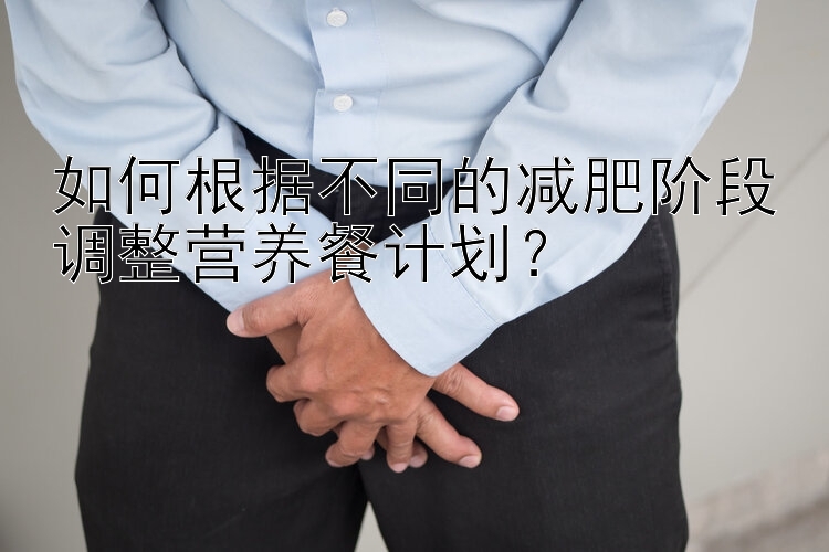 如何根據(jù)不同的減肥階段調(diào)整營養(yǎng)餐計劃？