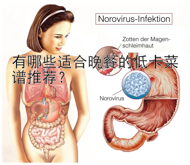 有哪些適合晚餐的低卡菜譜推薦？