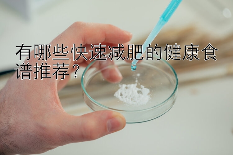 有哪些快速減肥的健康食譜推薦？