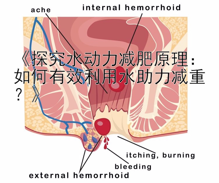 《探究水動(dòng)力減肥原理：如何有效利用水助力減重？》