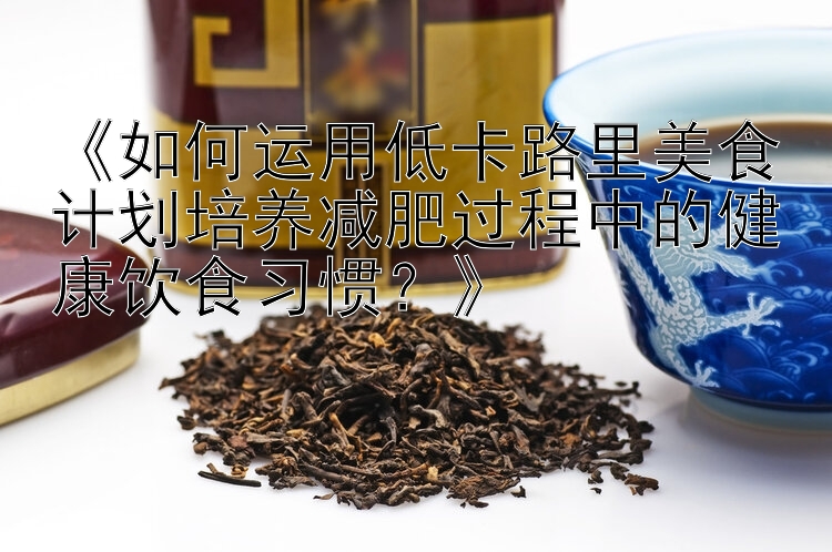 《如何運(yùn)用低卡路里美食計(jì)劃培養(yǎng)減肥過(guò)程中的健康飲食習(xí)慣？》