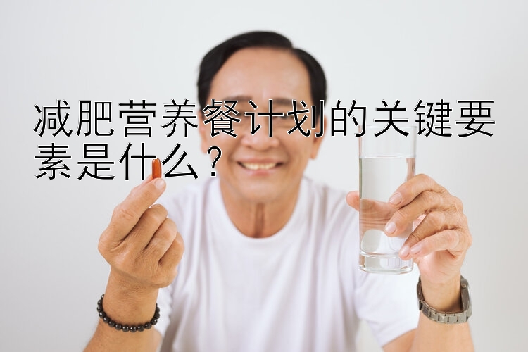 減肥營養(yǎng)餐計(jì)劃的關(guān)鍵要素是什么？