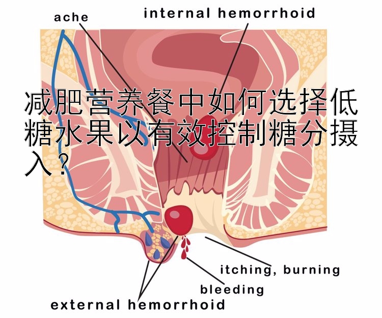 減肥營養(yǎng)餐中如何選擇低糖水果以有效控制糖分攝入？