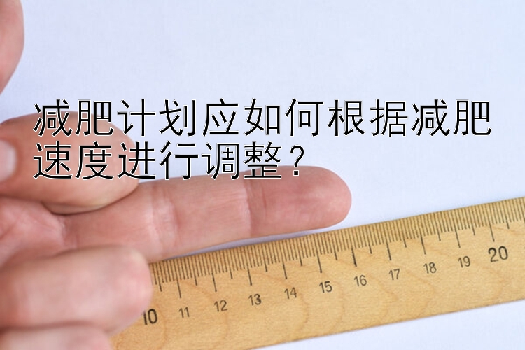 減肥計劃應如何根據(jù)減肥速度進行調整？