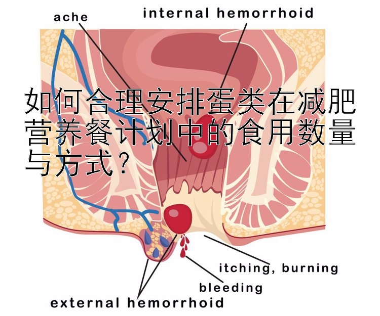 如何合理安排蛋類在減肥營養(yǎng)餐計(jì)劃中的食用數(shù)量與方式？