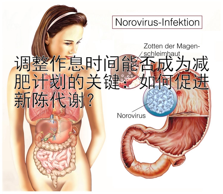 調整作息時間能否成為減肥計劃的關鍵：如何促進新陳代謝？